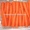 2014 local fresh carrot in different size from China